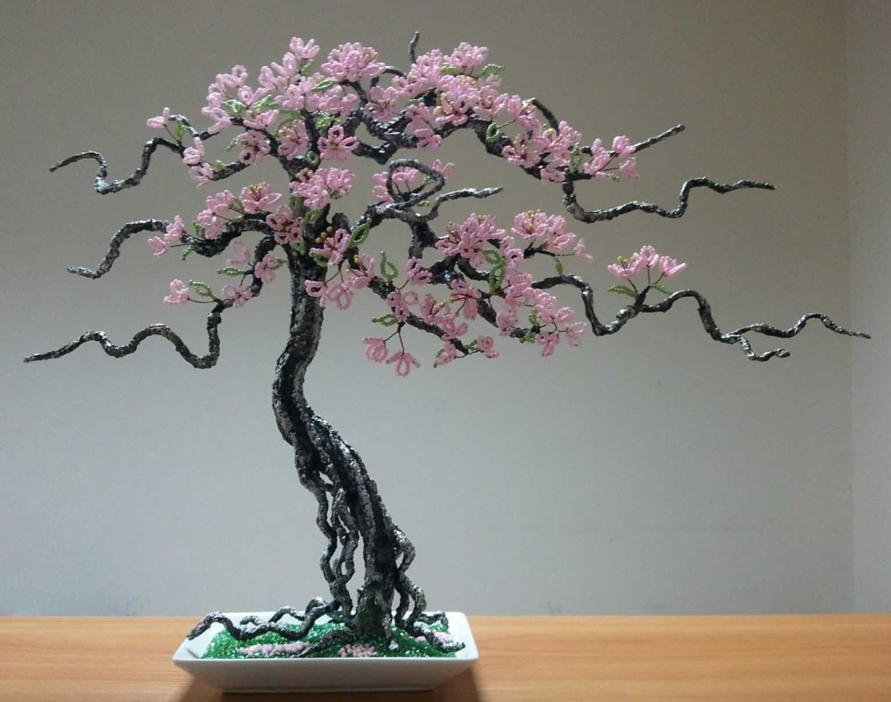 Альбиция ленкоранская бонсай