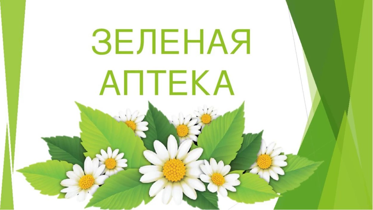 Зеленая аптека