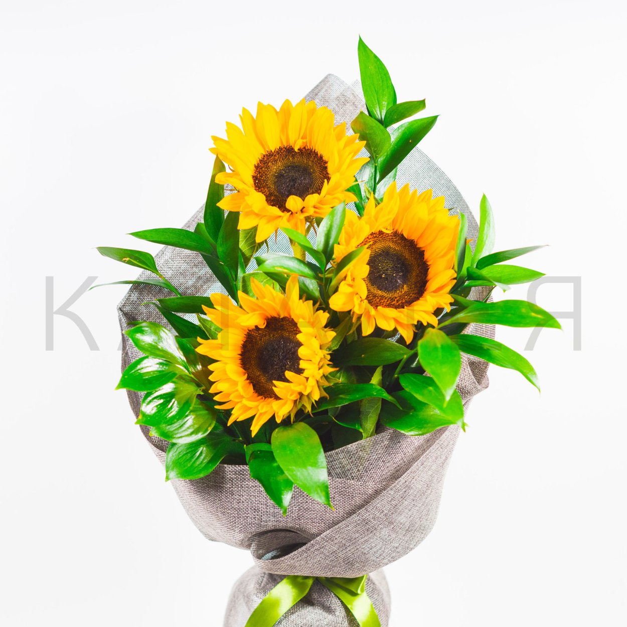 Цимбидиум Миднайт