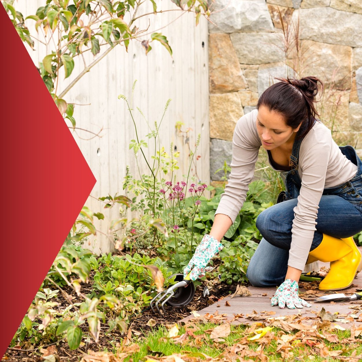 Сорняки на грядке