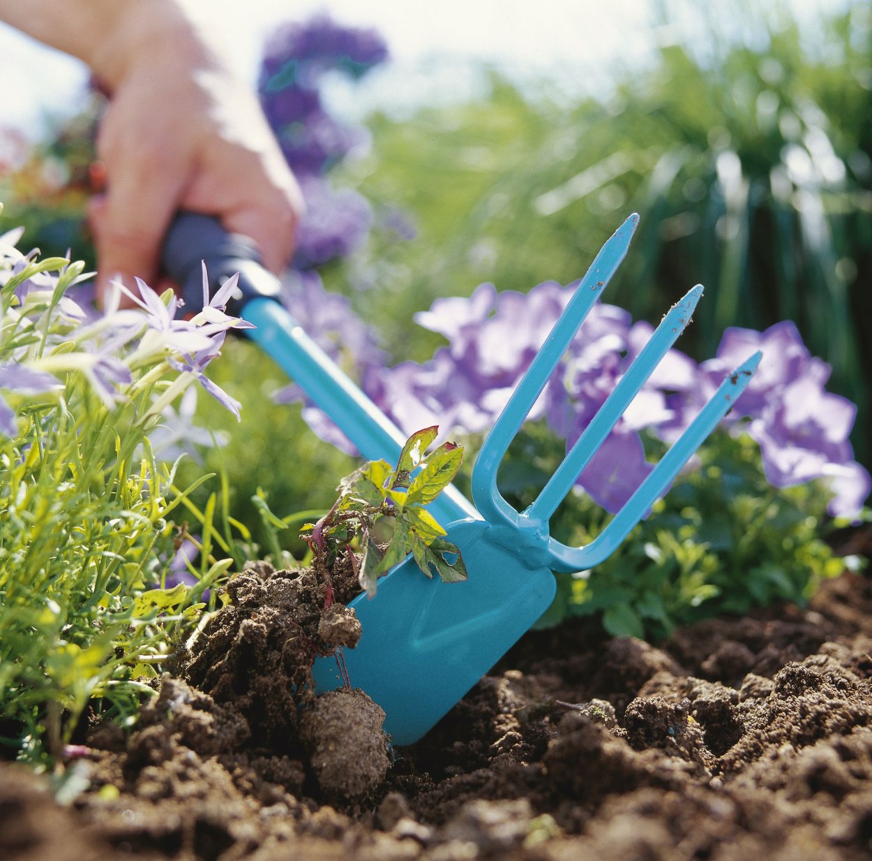 Прополка сорных растений