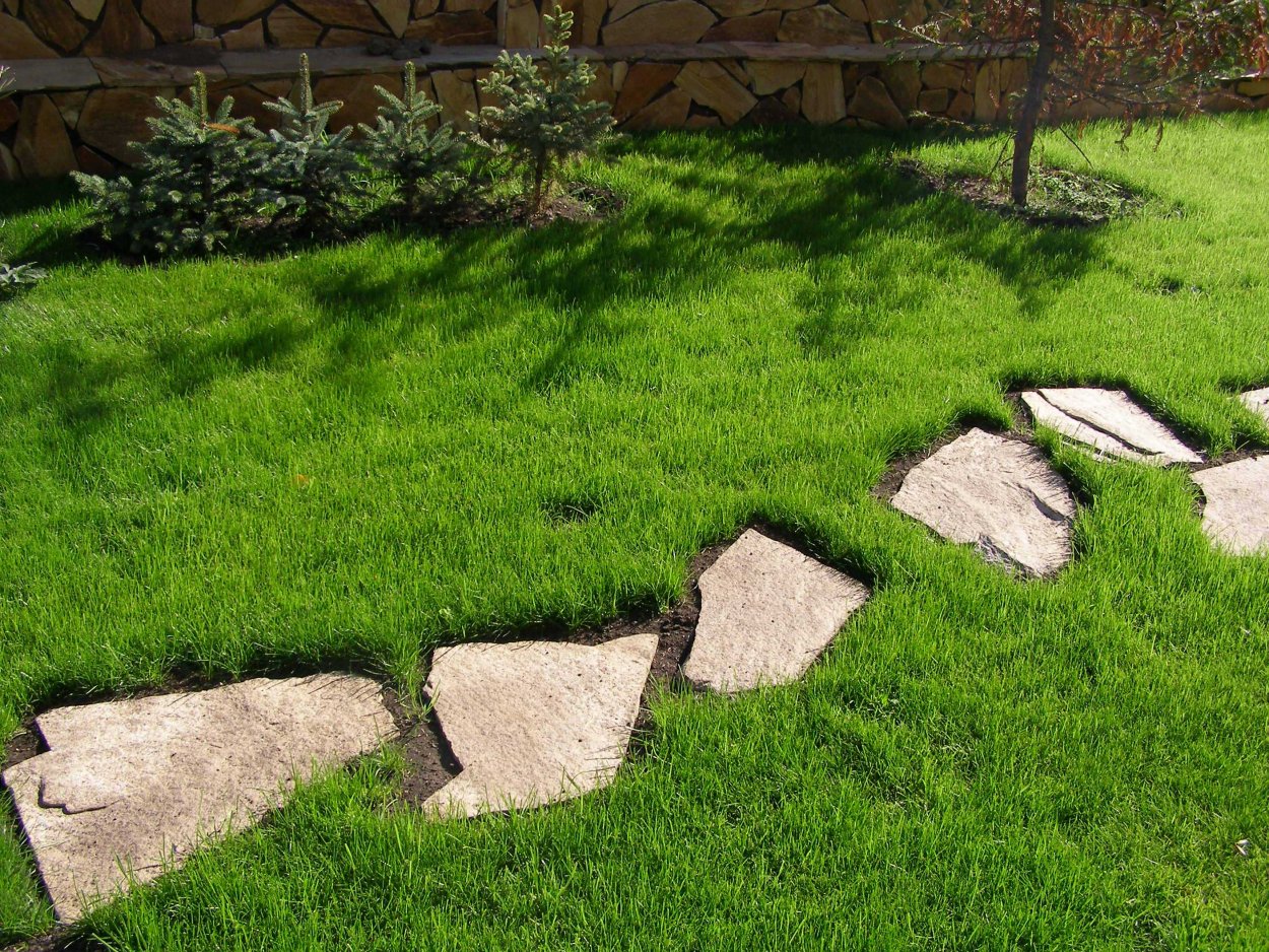 Дорожка в сад