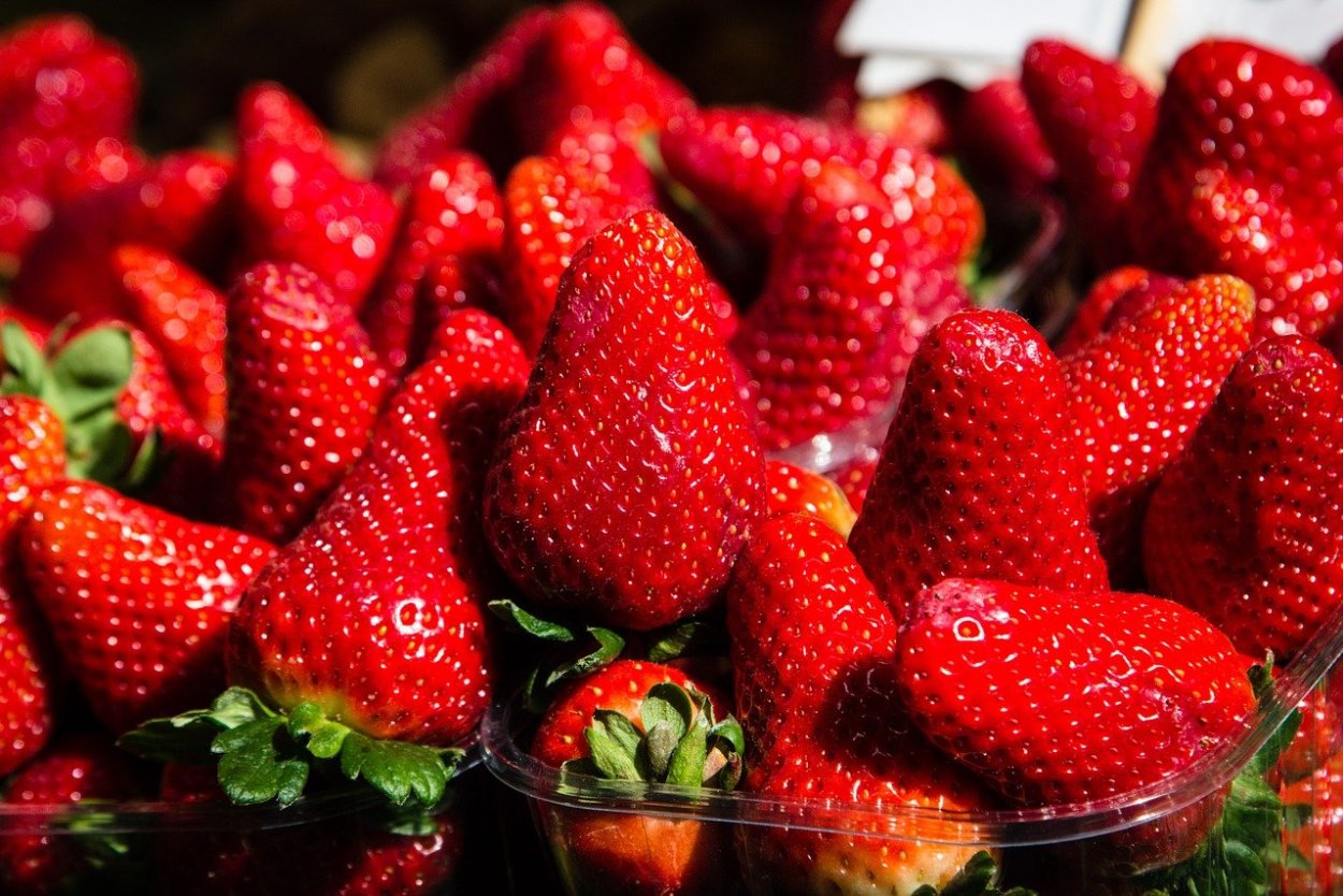 Черная клубника