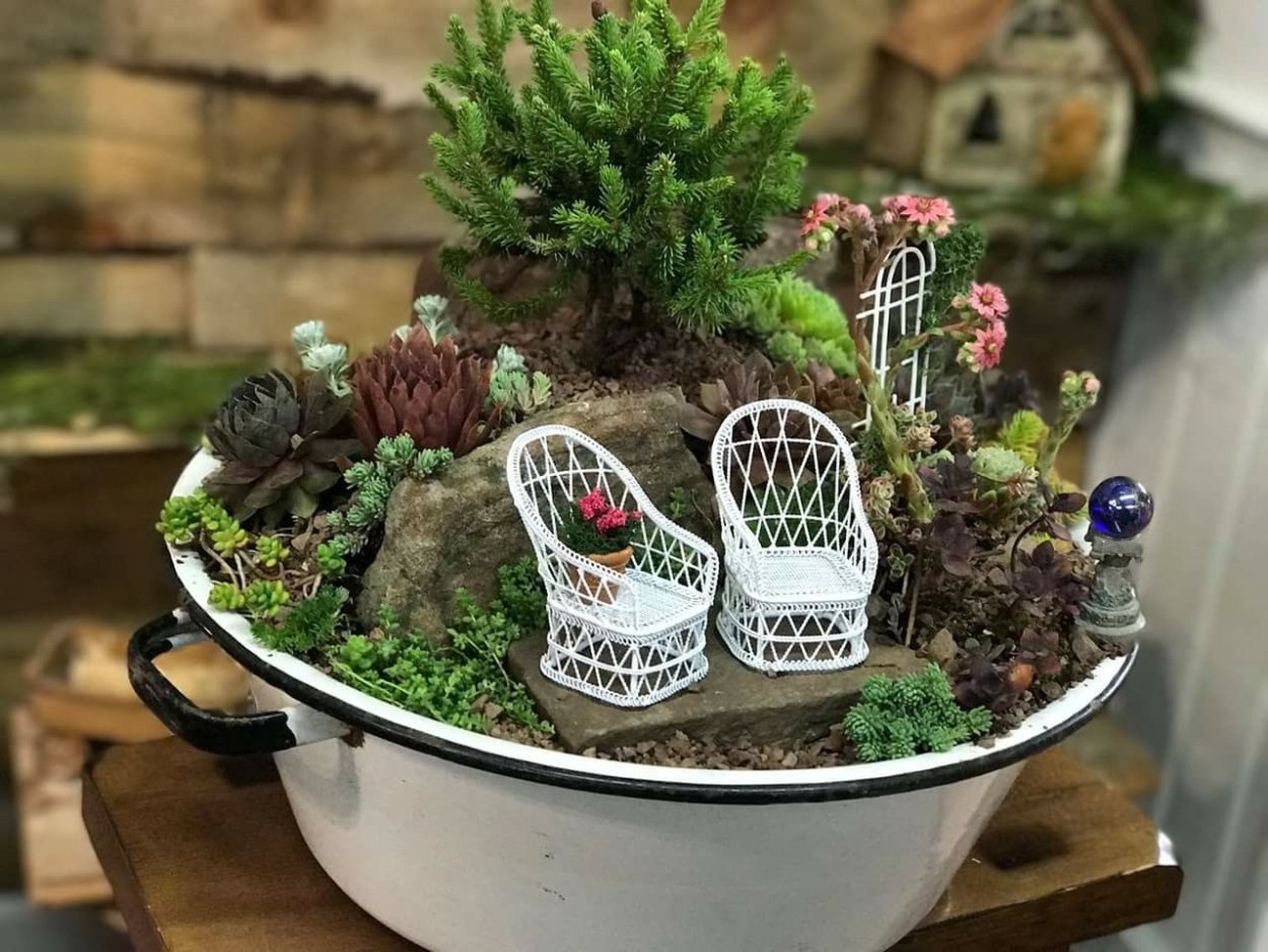 Мини садик в плошке