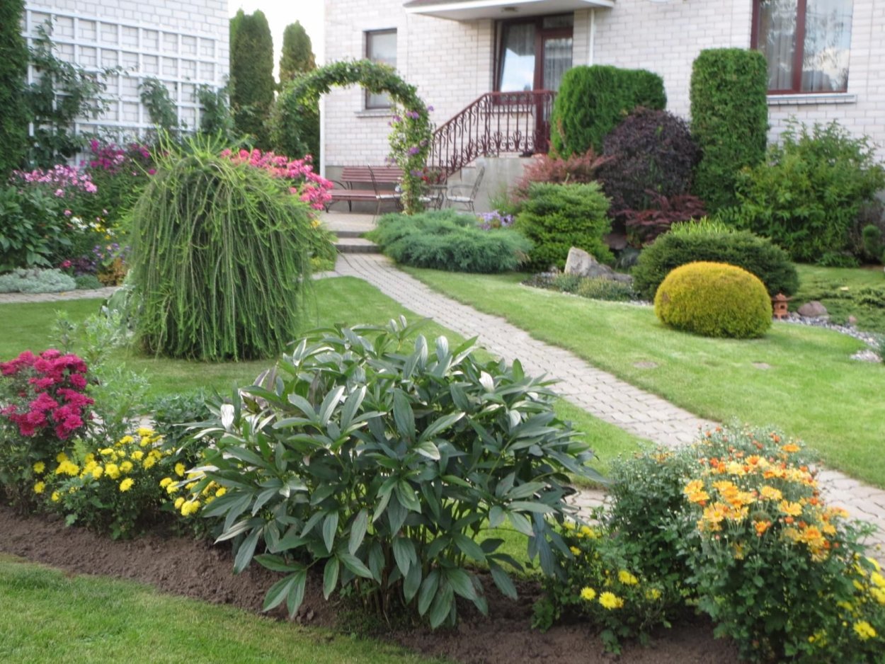 Туя спирея Хоста композиция