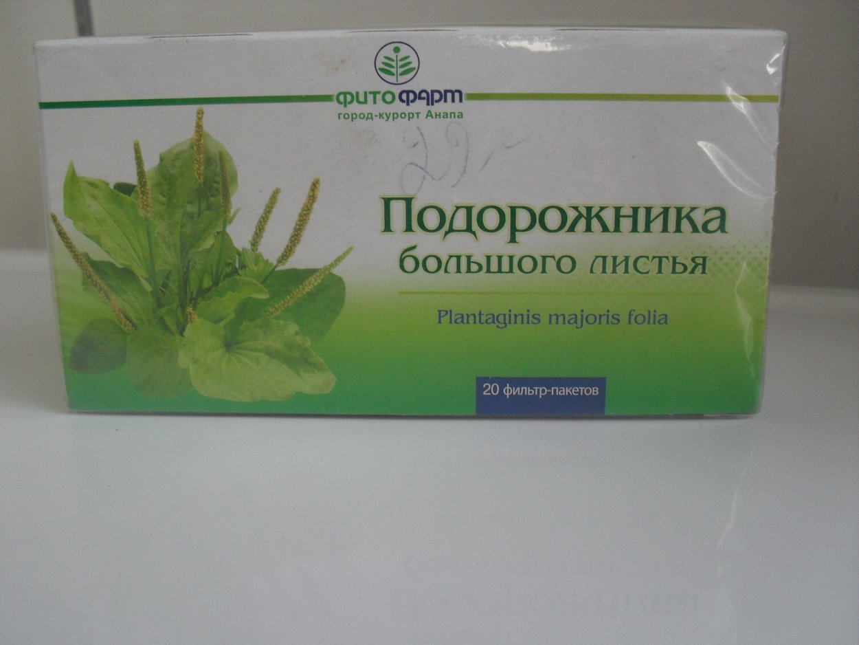 Подорожник variegata