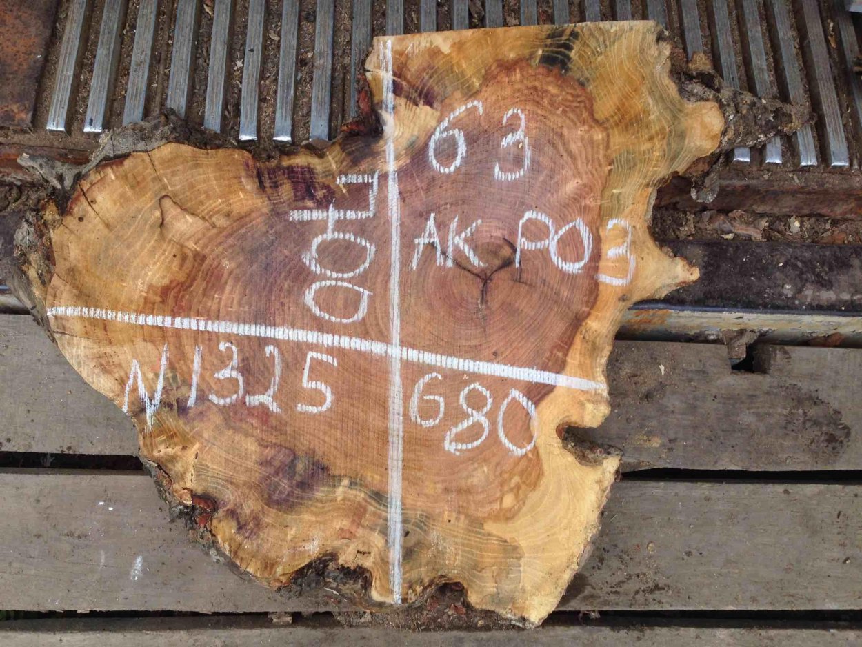 Спилы корней