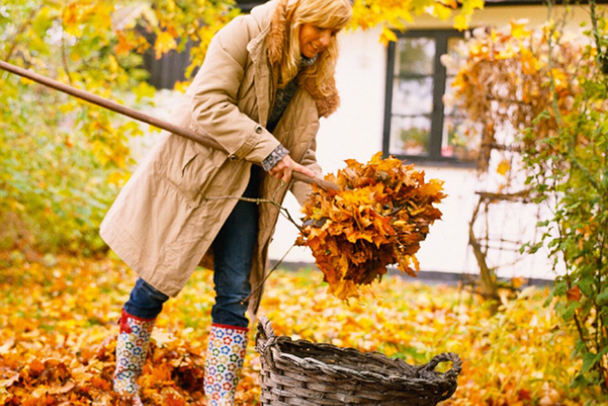 Осенние работы в саду