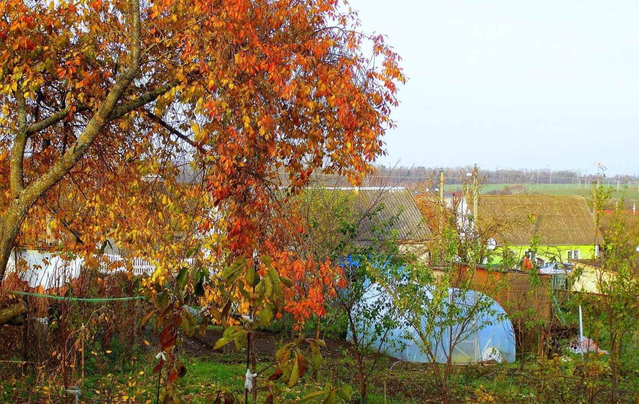 Дача. Осень