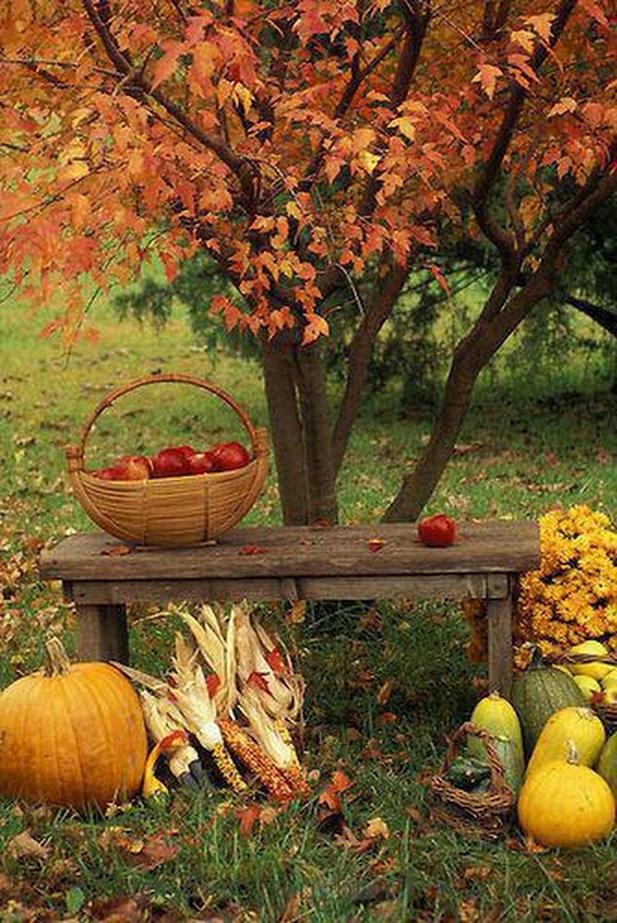 Осенний урожай