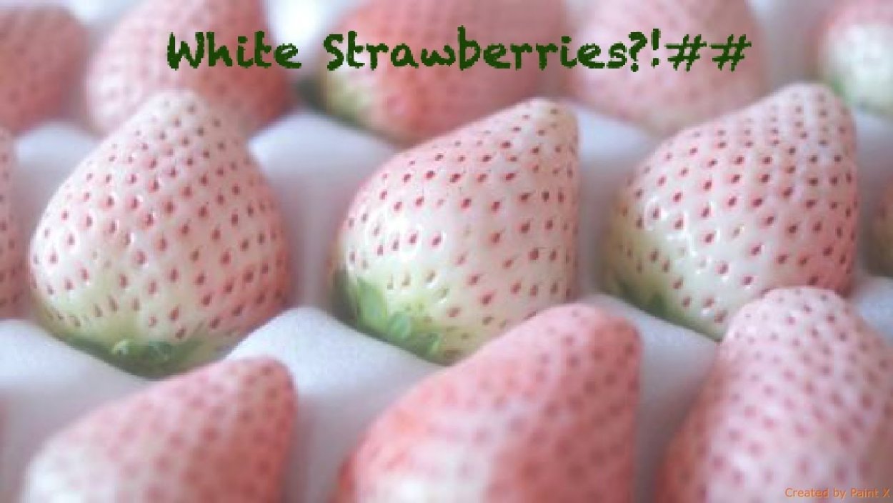 Розовая клубника