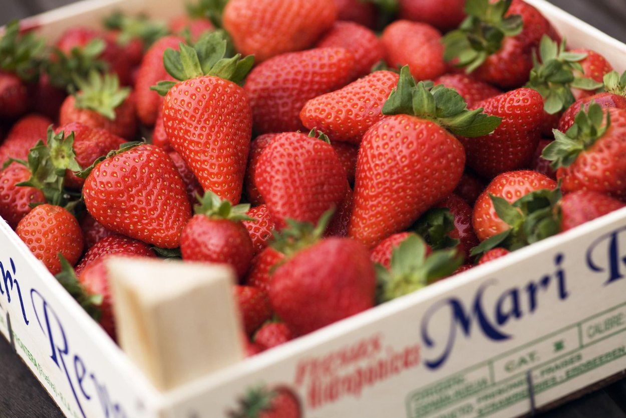 He always busy Vegetables Strawberry