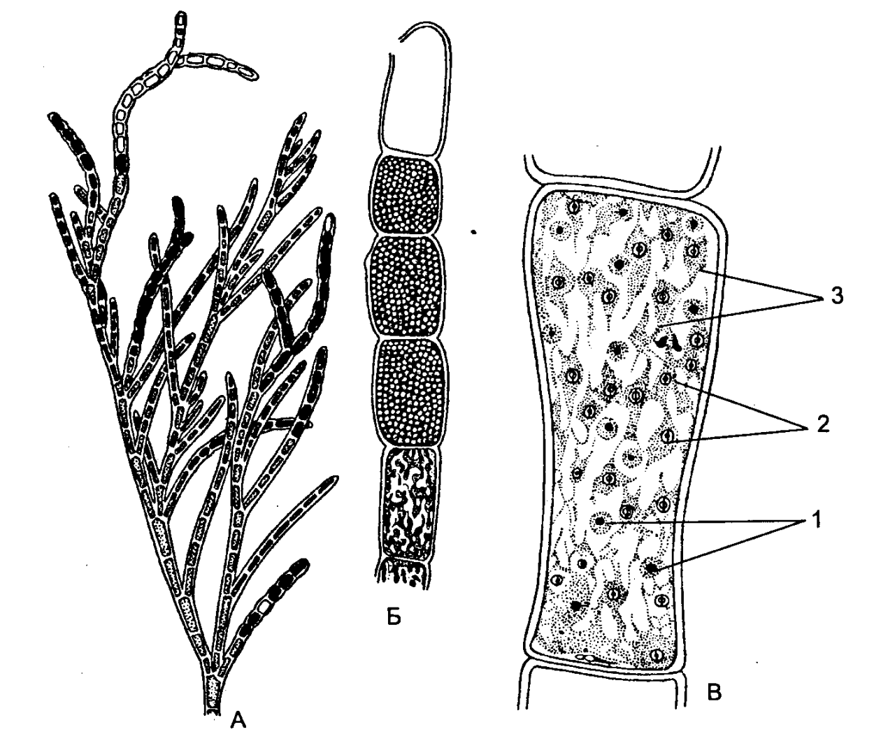 Крючки Gamakatsu LS-1100b