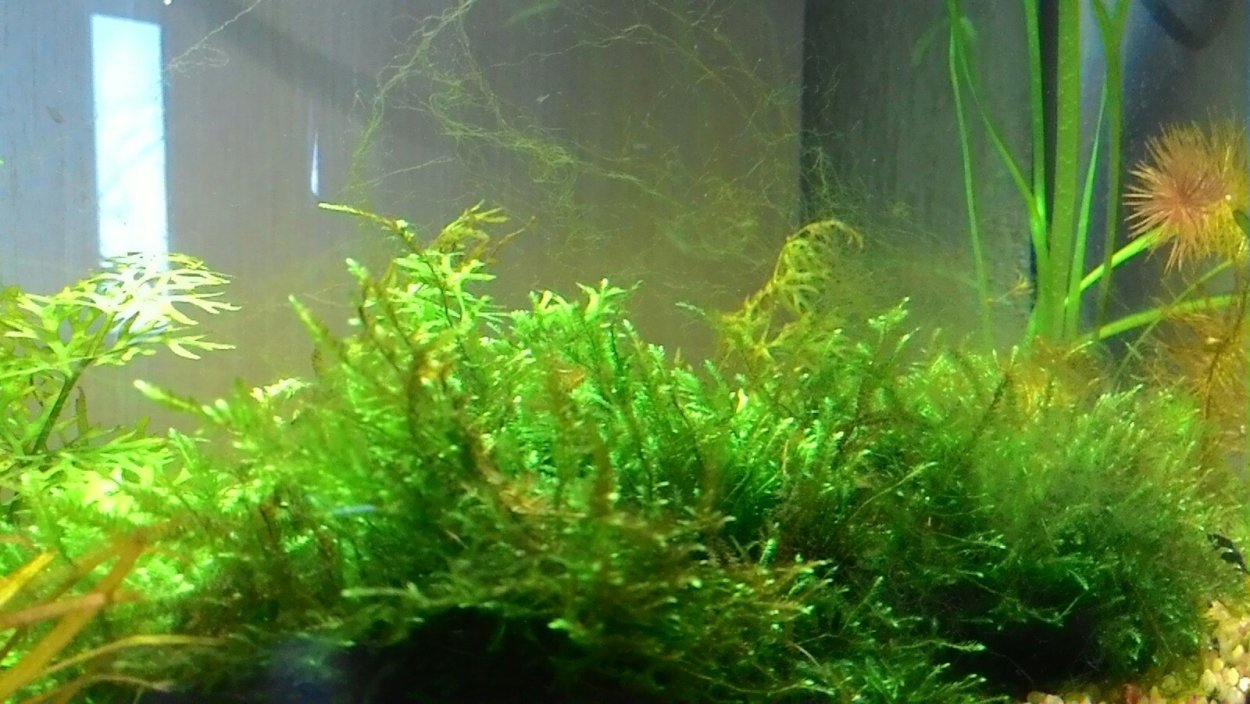 Значок для актуального отзывы