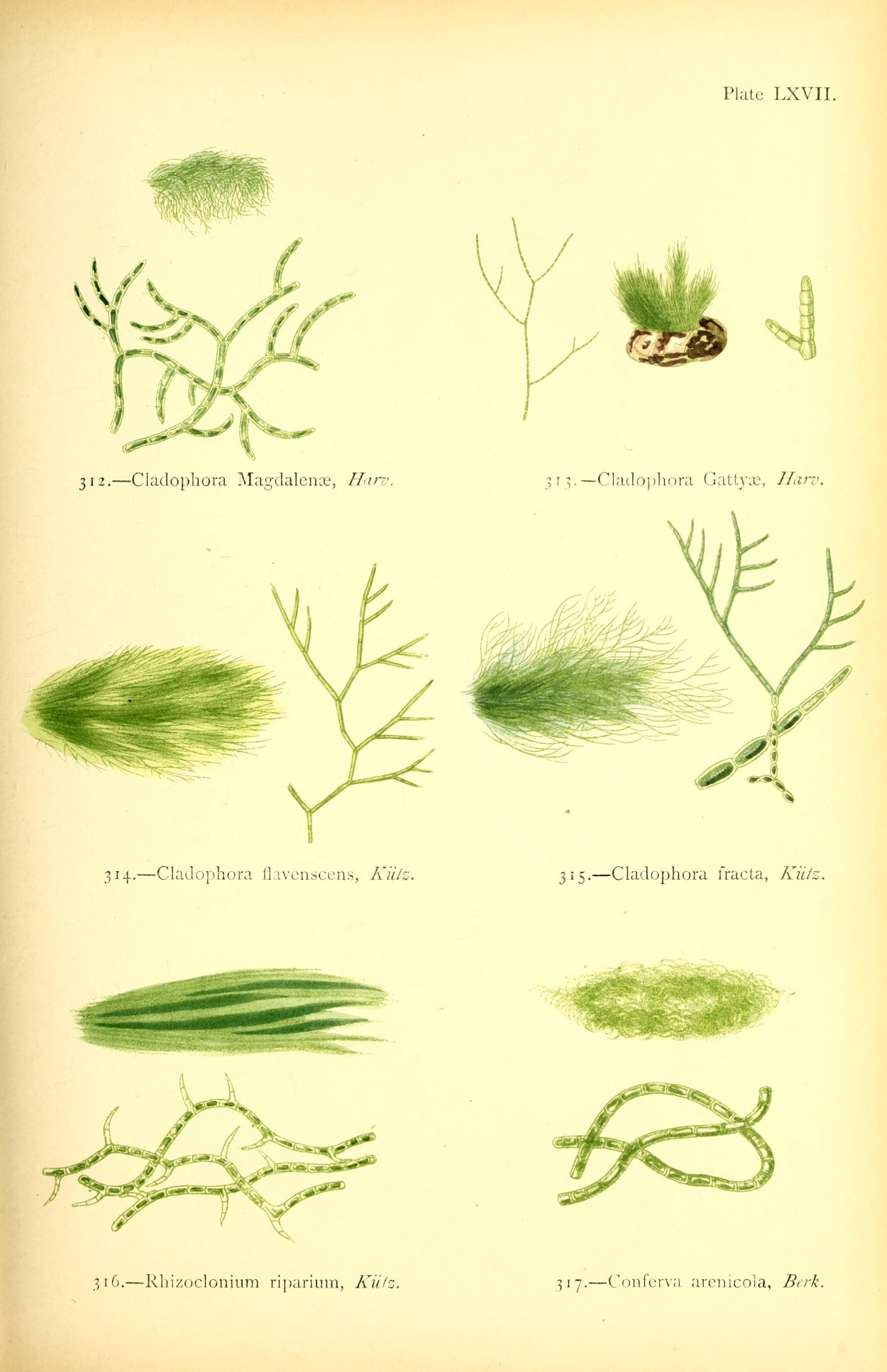 Материнская плата MSI 865gvm2-LS