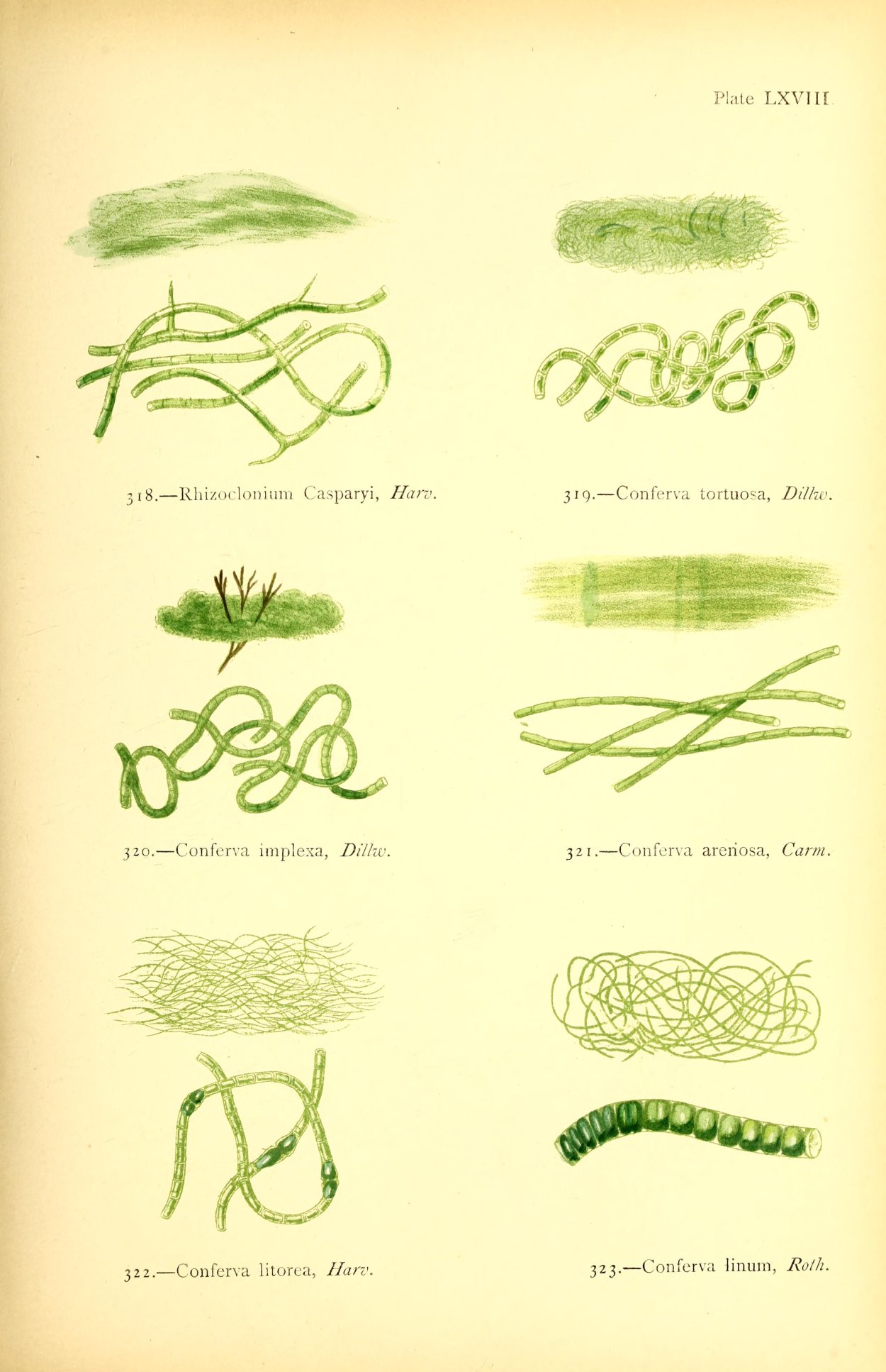 Радар-детектор Megaforcer z-11st