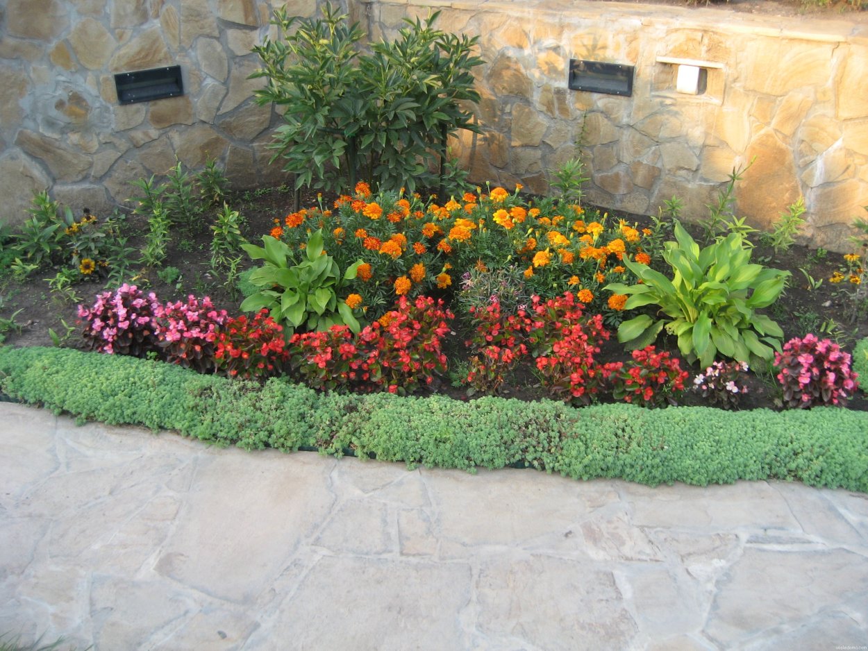 Клумба из низкорослых цветов