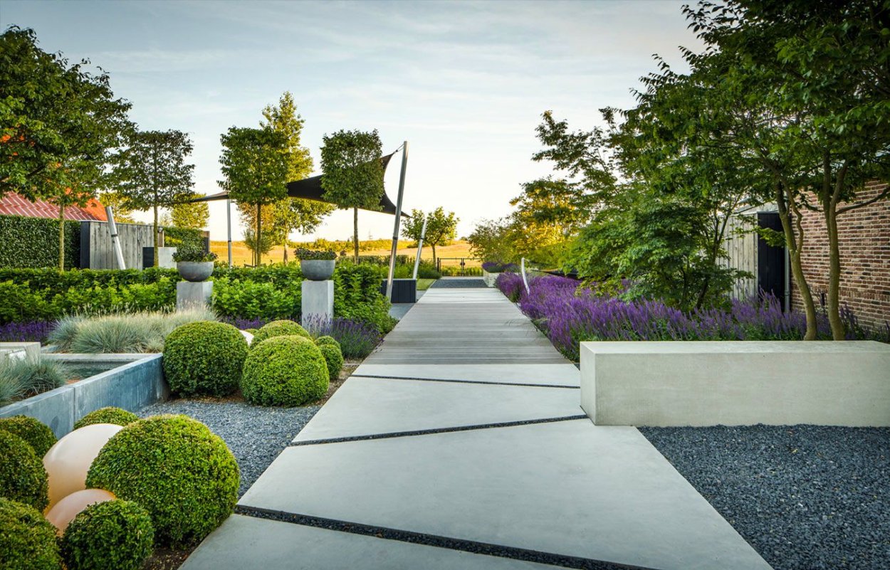 Миксбордеры Вероника голубая