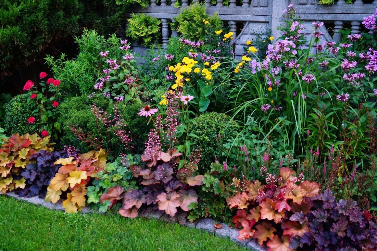 Миксбордер Хоста гейхера