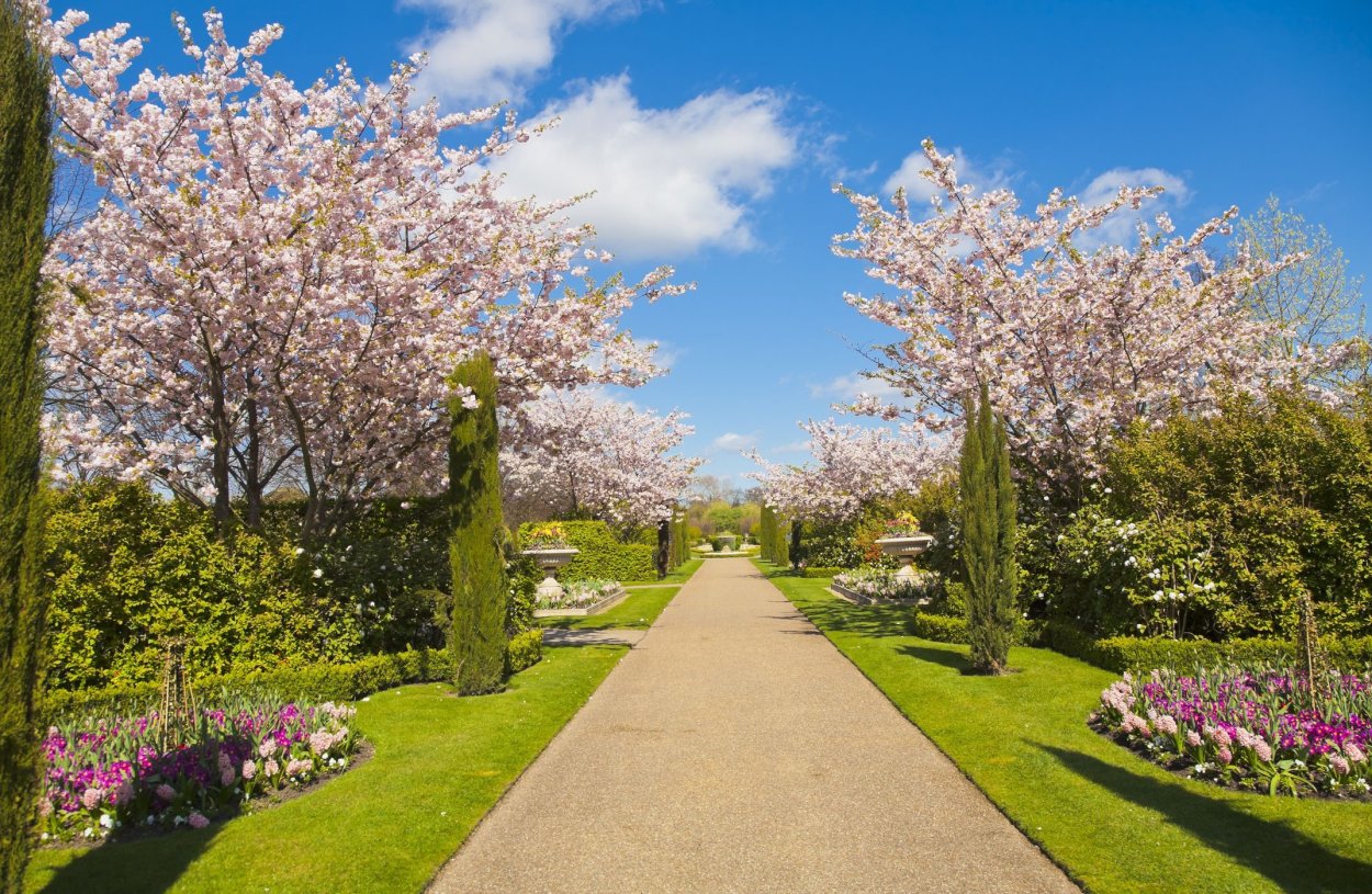 Амстердам парк Кекенхоф