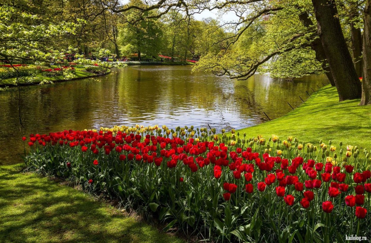 Мангейм Германия природа