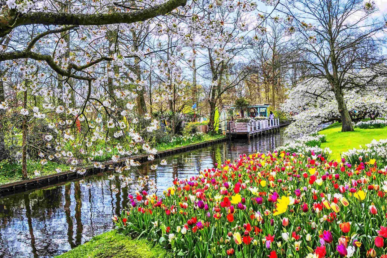Нидерланды весенний парк Keukenhof