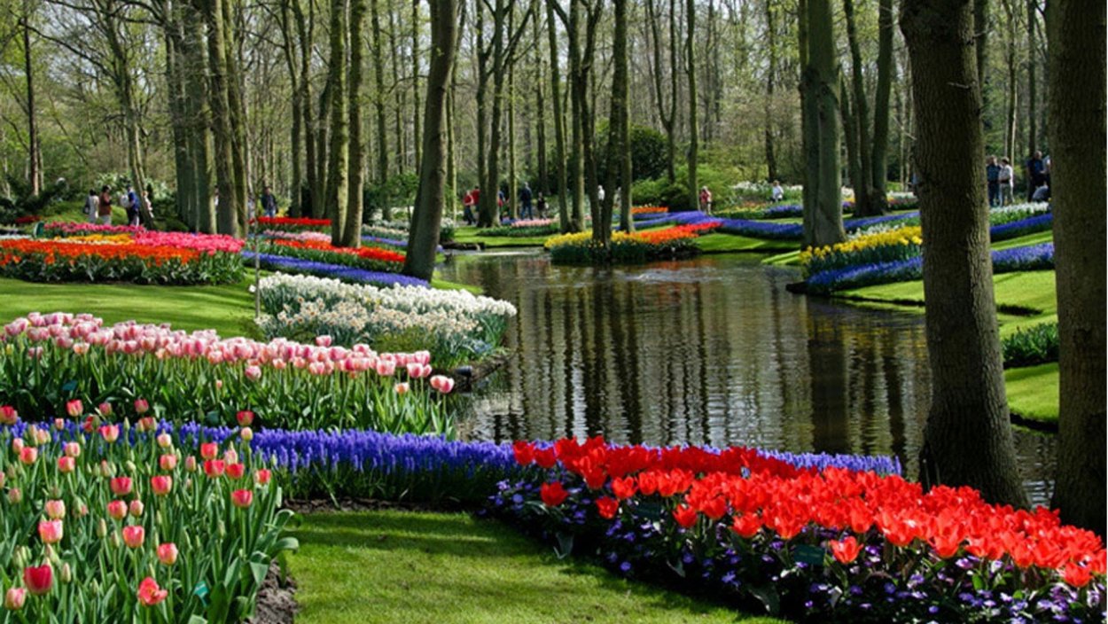 Парк Стоурхед