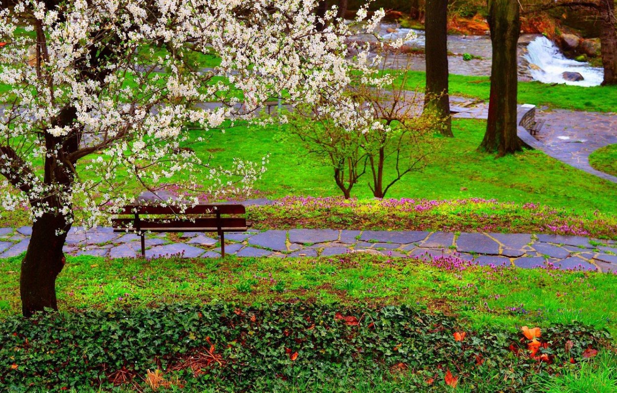 Весна природа