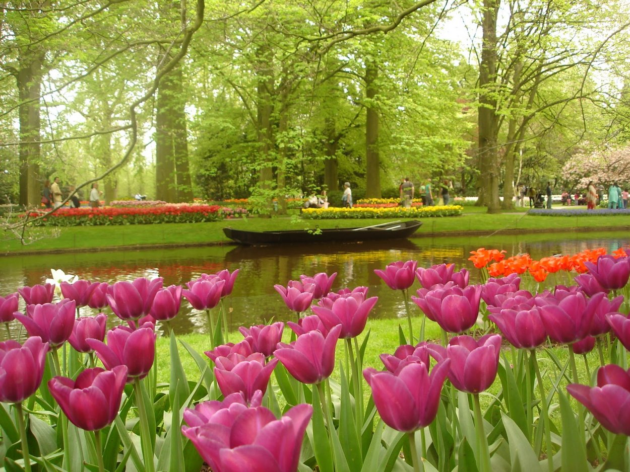 Парк «Кекенхоф» (Keukenhof) летом