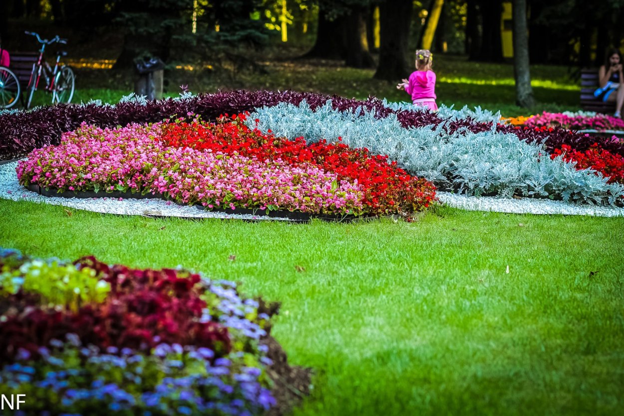 Моноклумба клумба