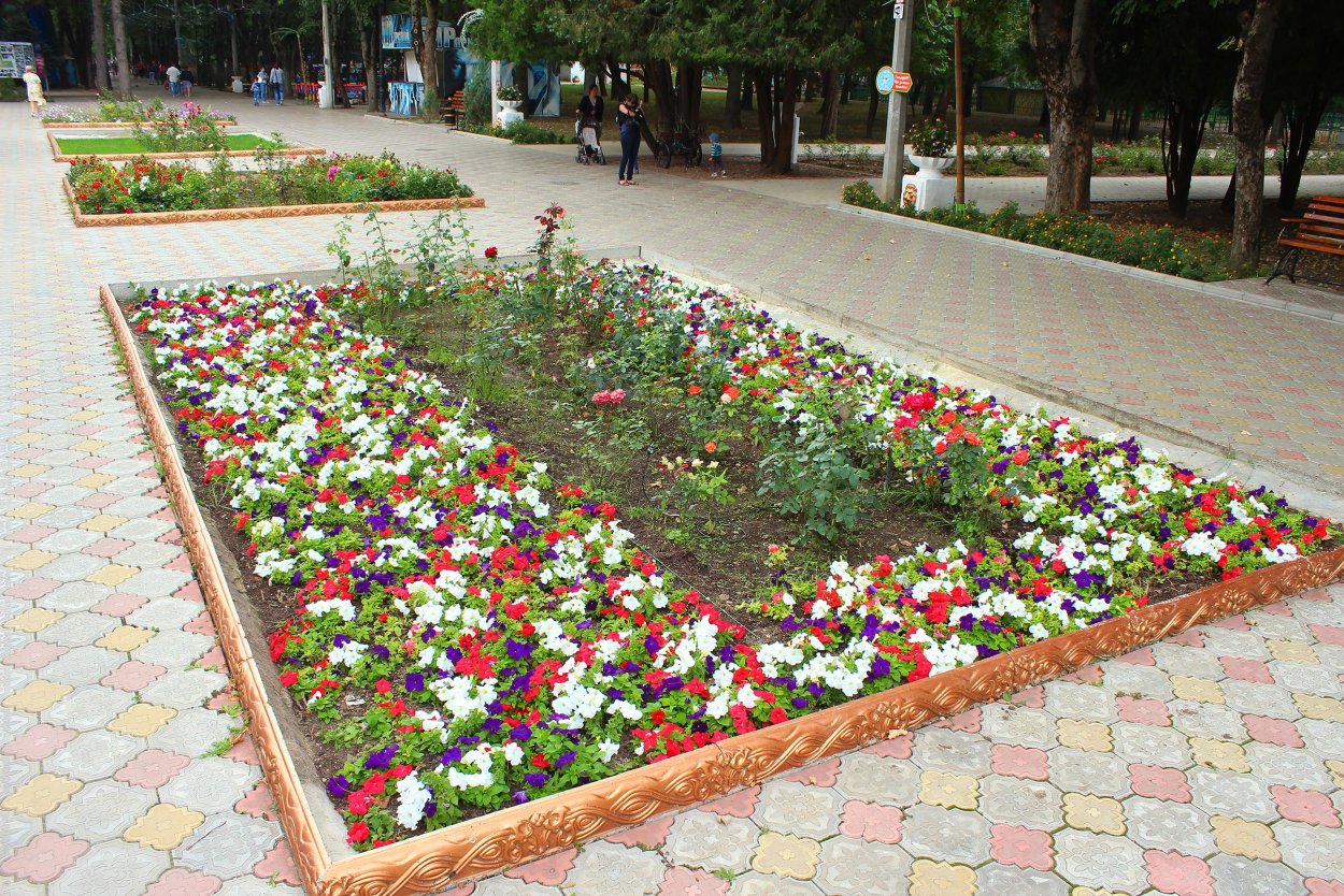 Ковровая клумба парк Горького