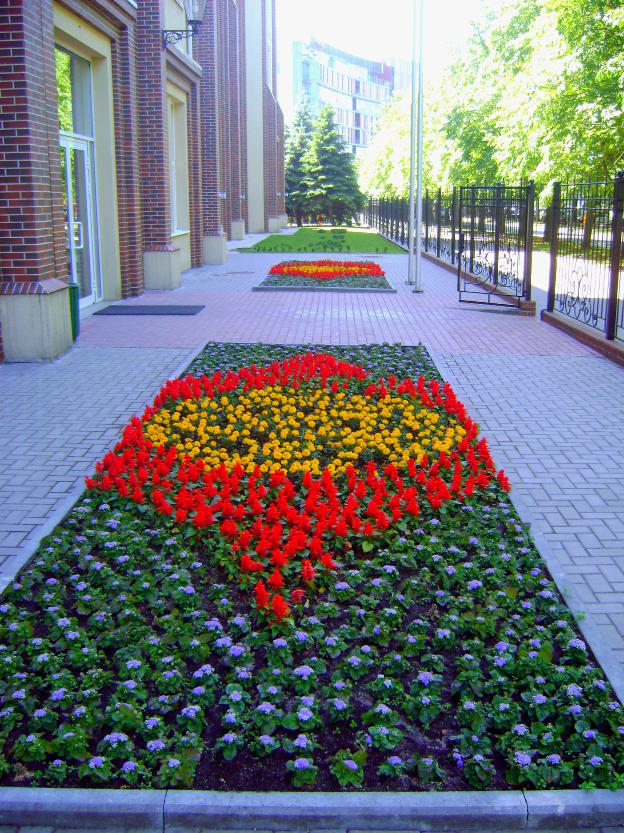 Рабатка из однолетников Исаакиевский собор