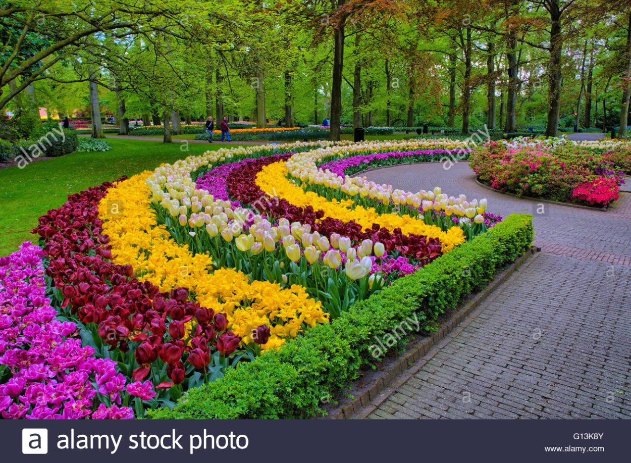 Фигурные клумбы