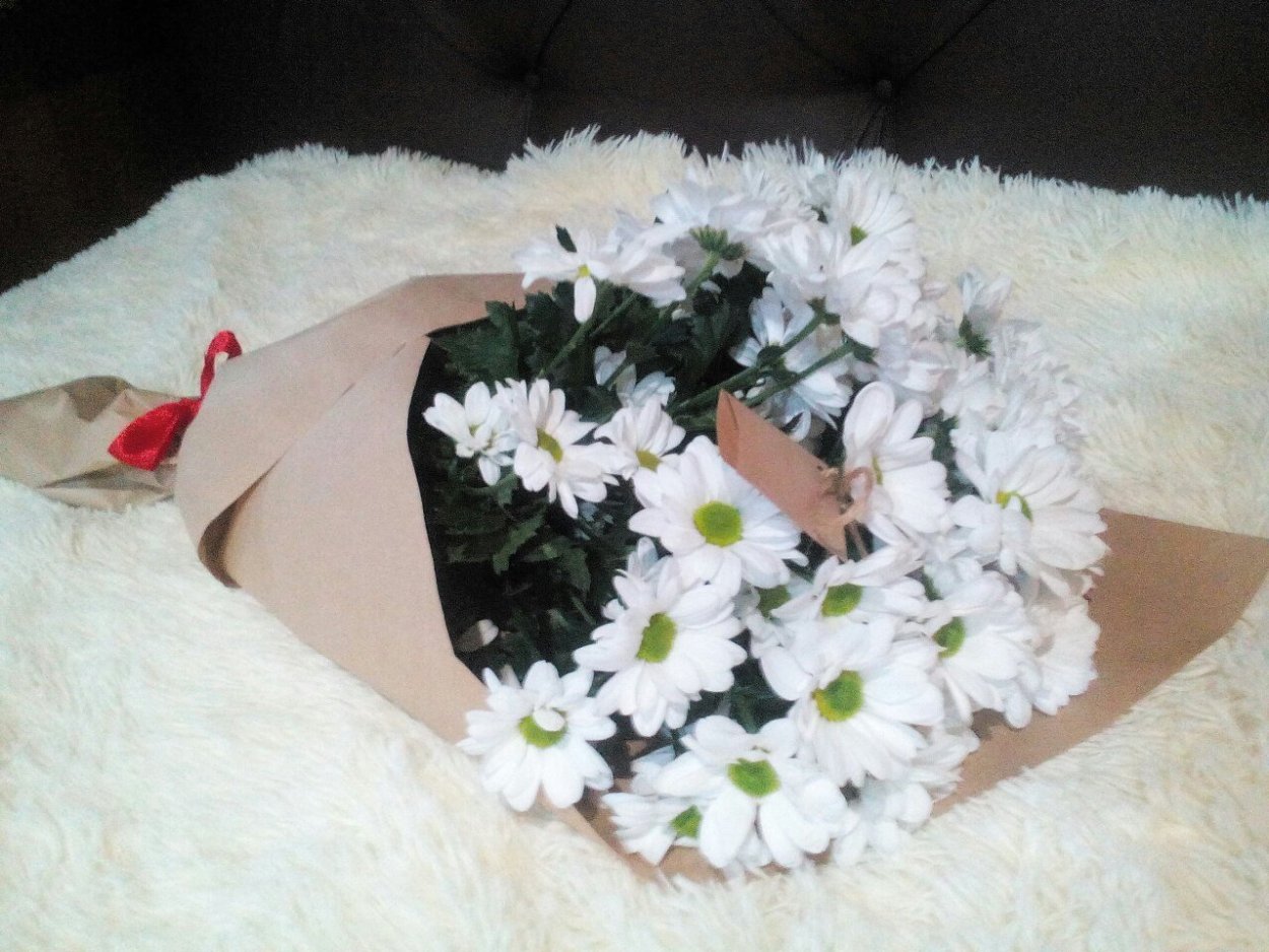 Хризантема Букетная торжество