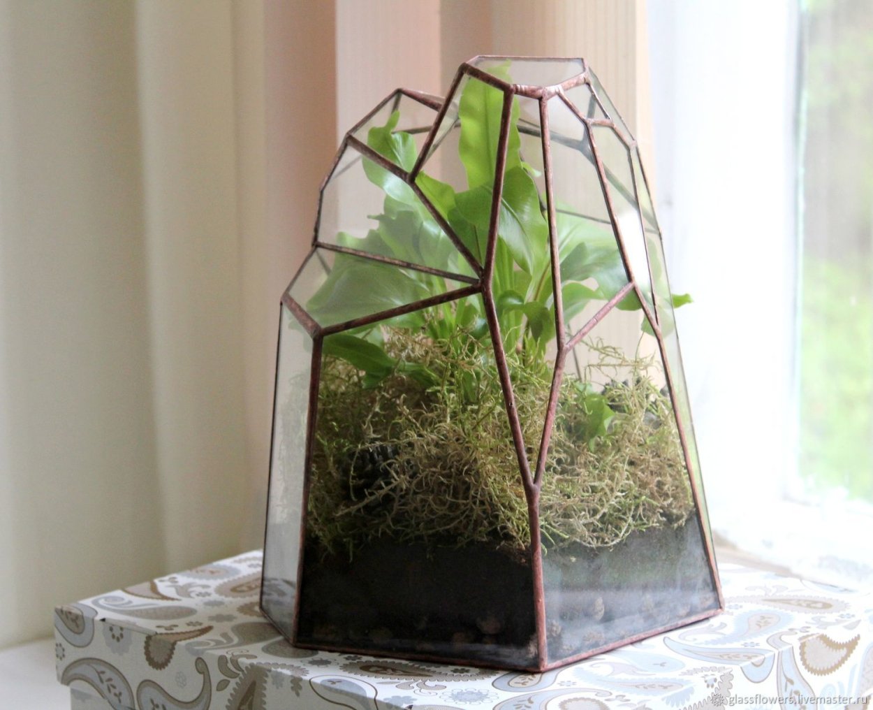 Флорариум с папоротником и мхом