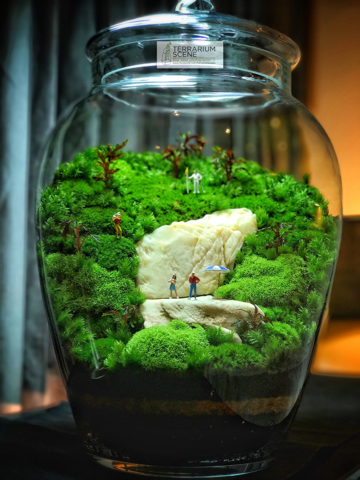 Вивариум флорариум