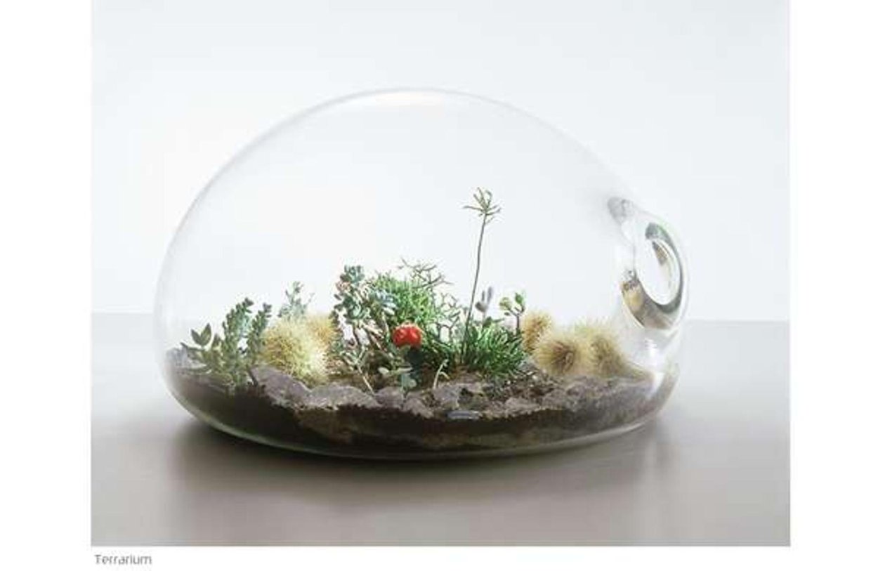 Микро террариум