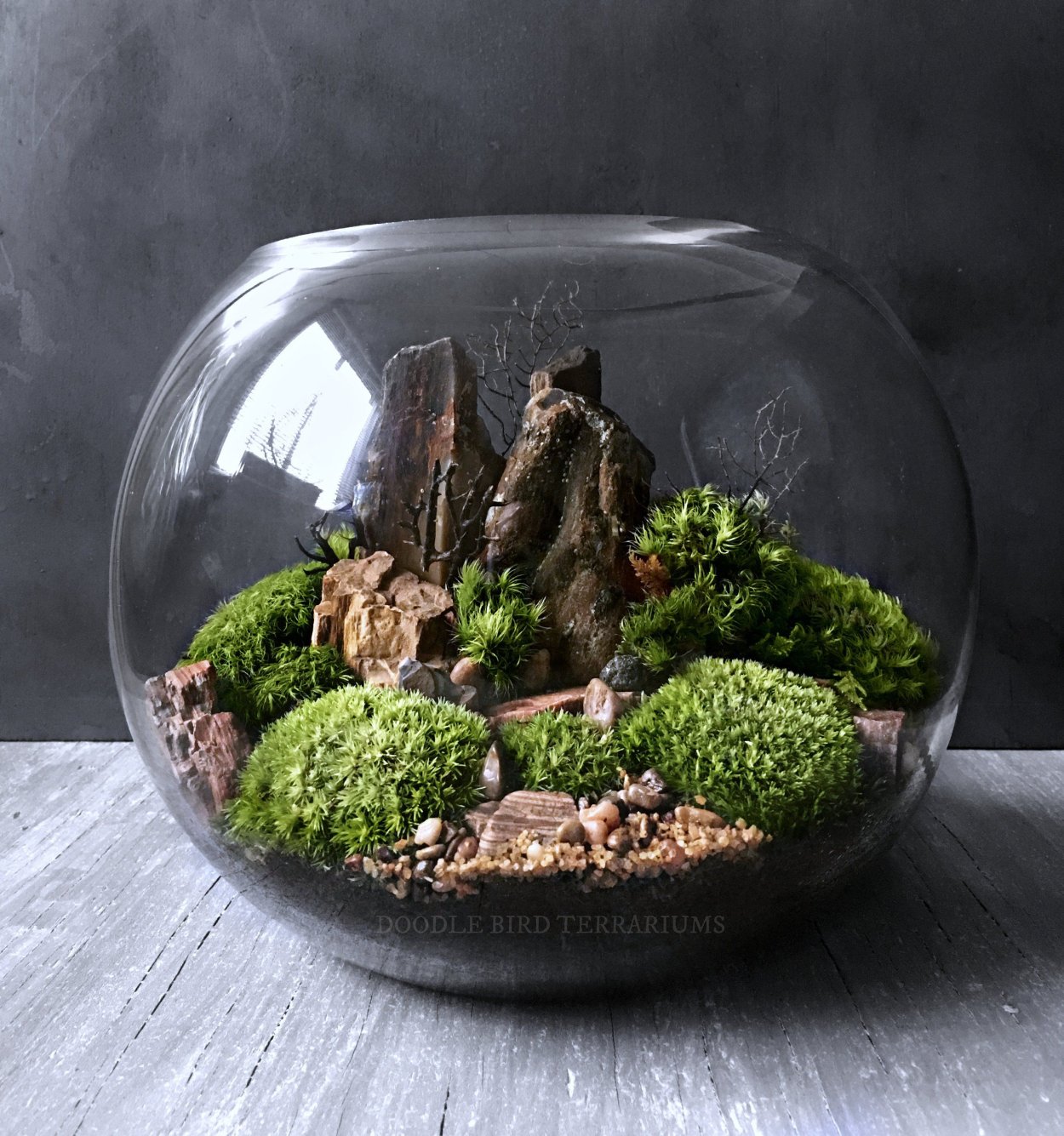 Террариум флорариум аквариум