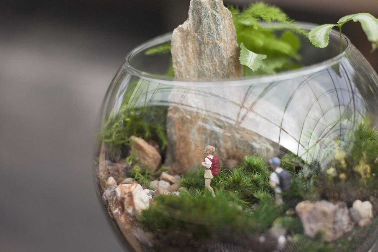 Флорариум Хоббит