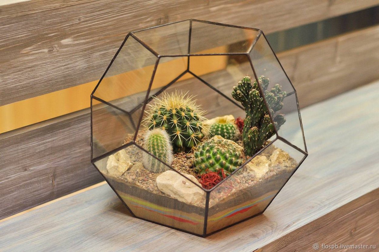 Пустынный флорариум