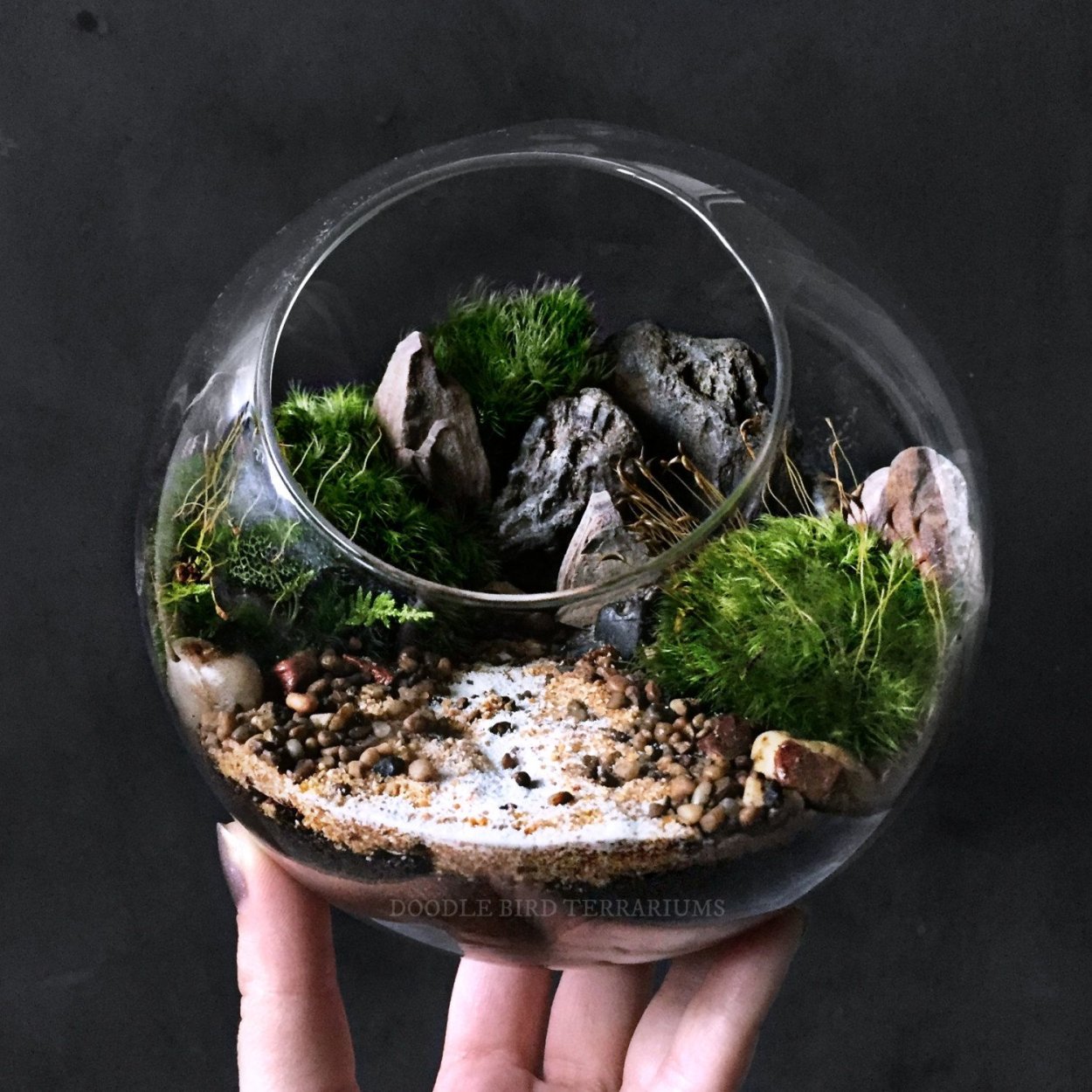 Terrarium Moss террариумный мох