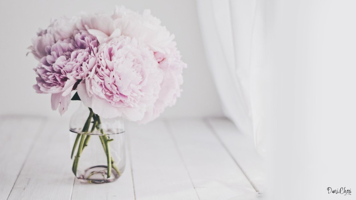 Пионы на Светлом фоне