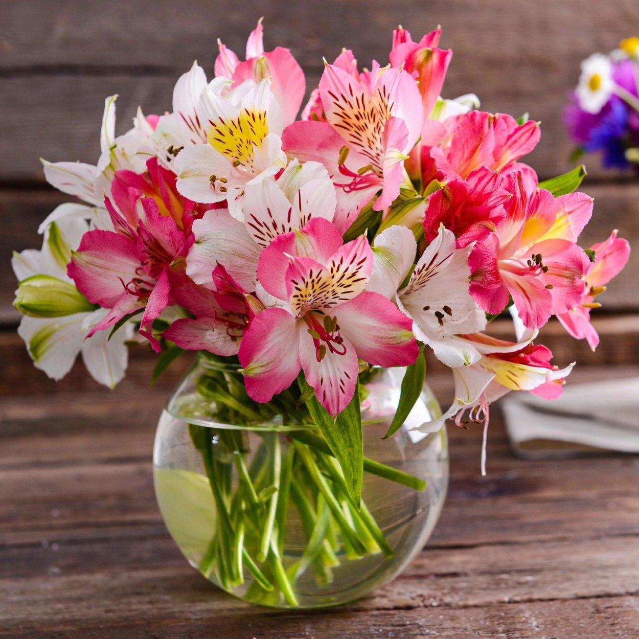 Цветы долгостоящие