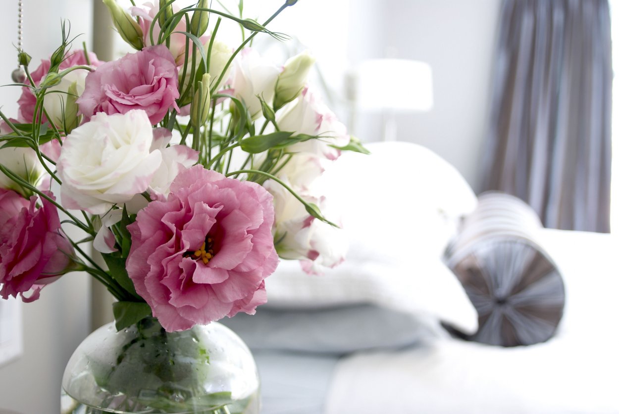 Цветы на тумбочке