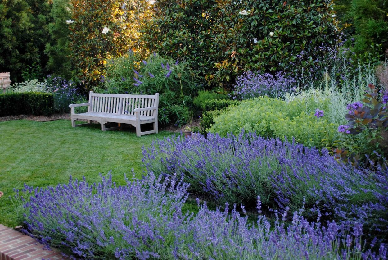 Кориандр и розмарин