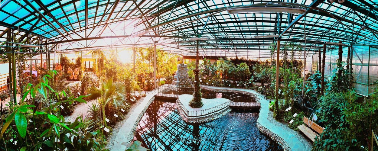 Ботанический сад Вологда