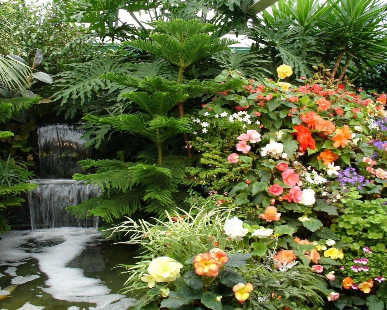 Живые цветы в природе