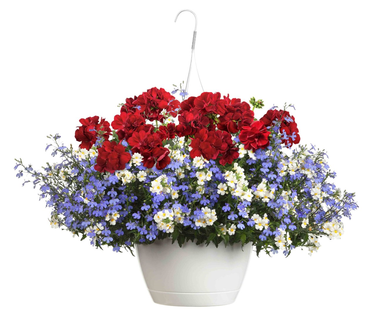 Петуния ампельная немезия