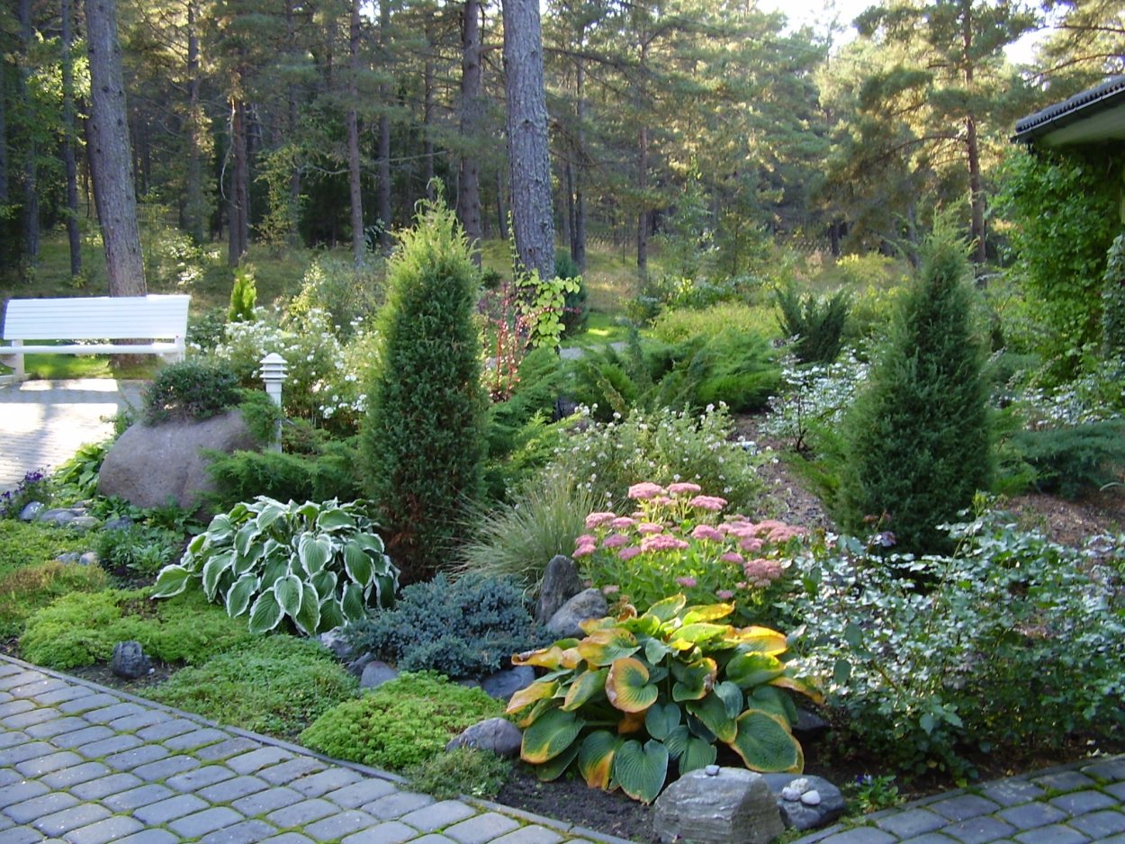 Миксбордеры с хвойниками