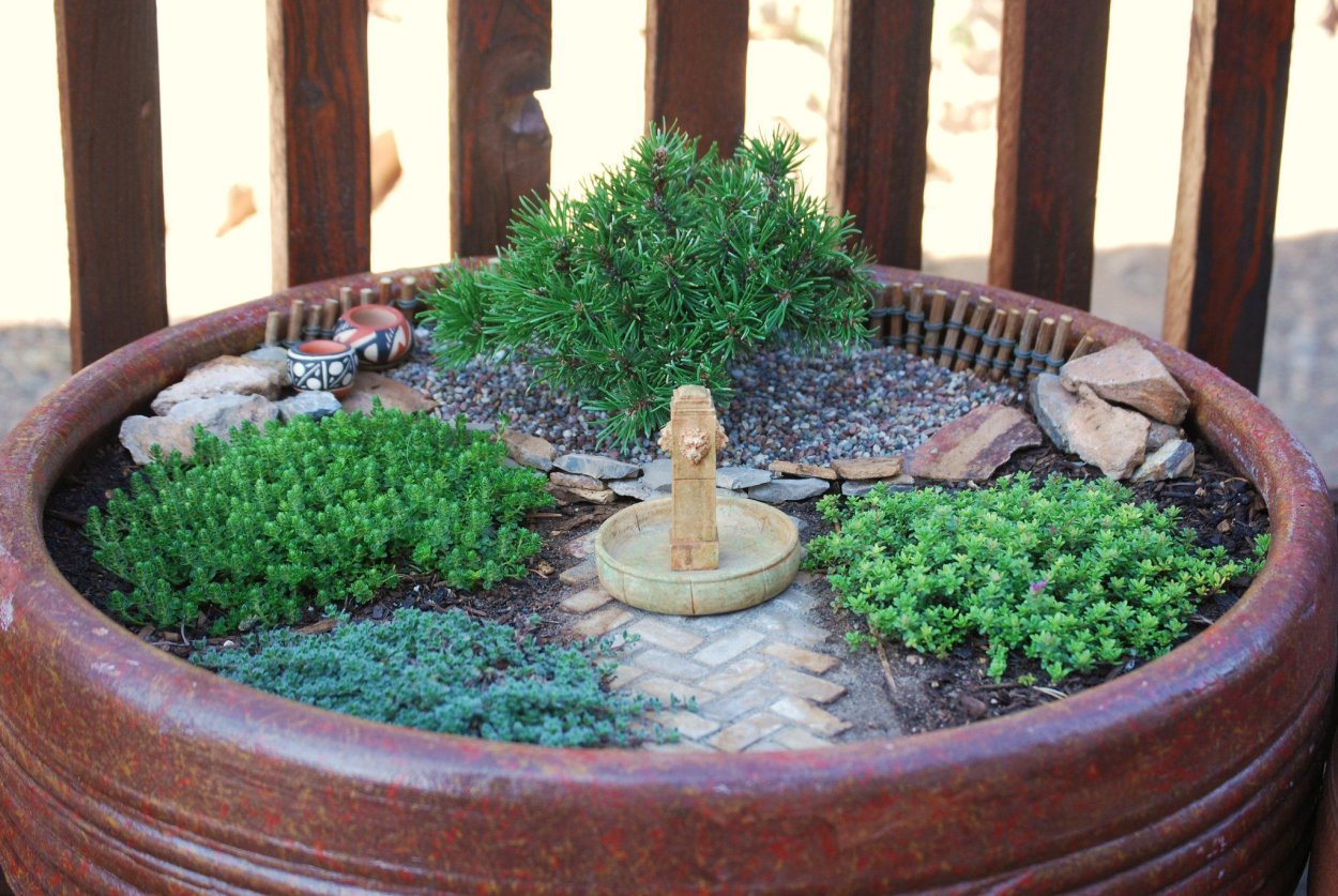 Японский садик в горшке